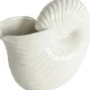 Jug Shelley