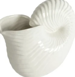 Jug Shelley