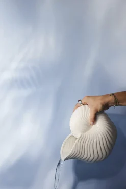 Jug Shelley