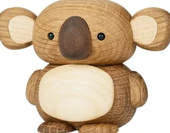Koala, Kozi