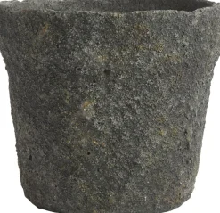 Krukke Mosu 16