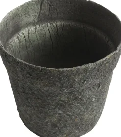 Krukke Mosu 24