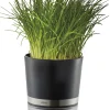 Krydderurtepotte, BOTANICO