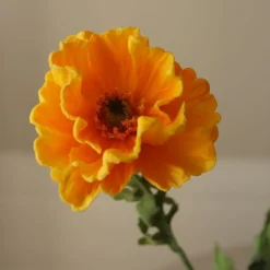 Large Poppy Flower