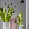 Lyngby Vase H25 cm rosa porcelæn