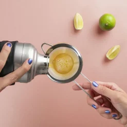 Mesh fine strainer