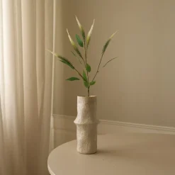 Mini Amaranthus