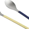 MVS Serving Spoon-Set of 2-Dark blu