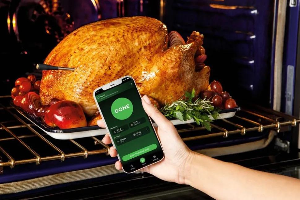 Ninja WP100EU ProChef Wireless Thermometer