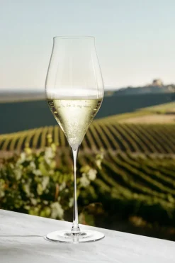 Notes Champagneglas 38 cl klar 2 stk.