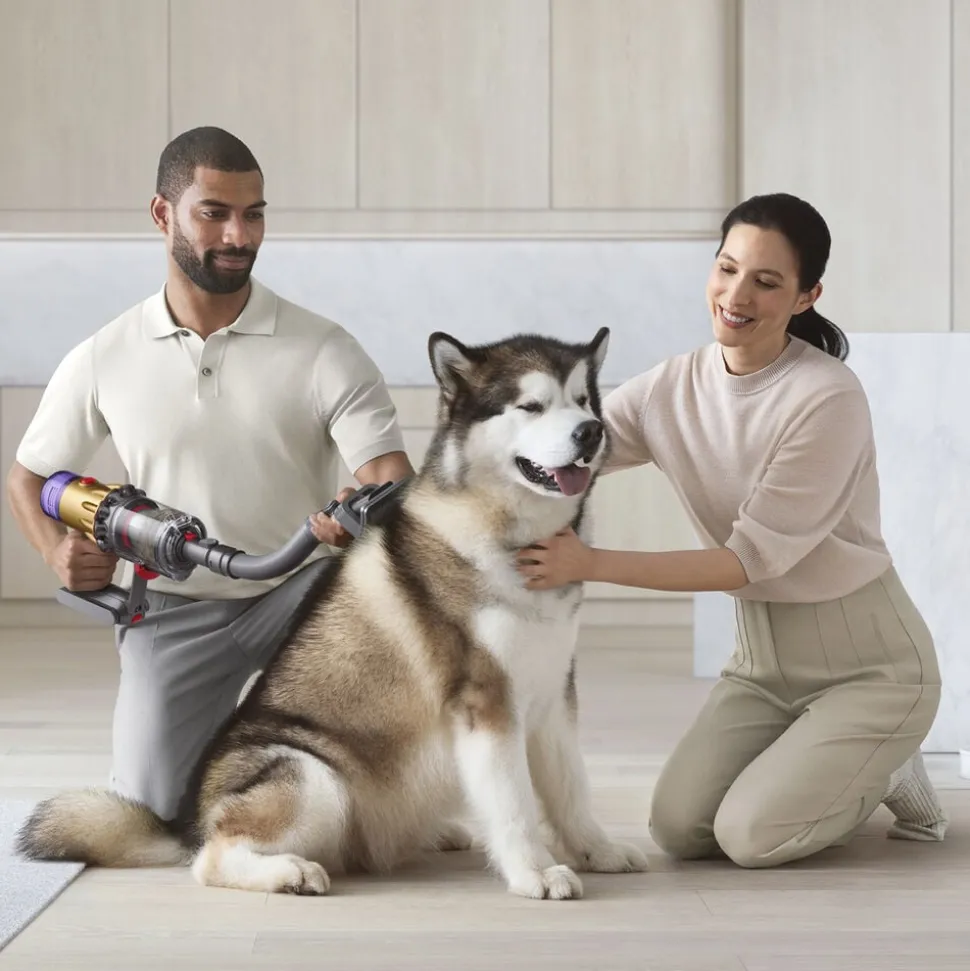Pet Grooming Kit