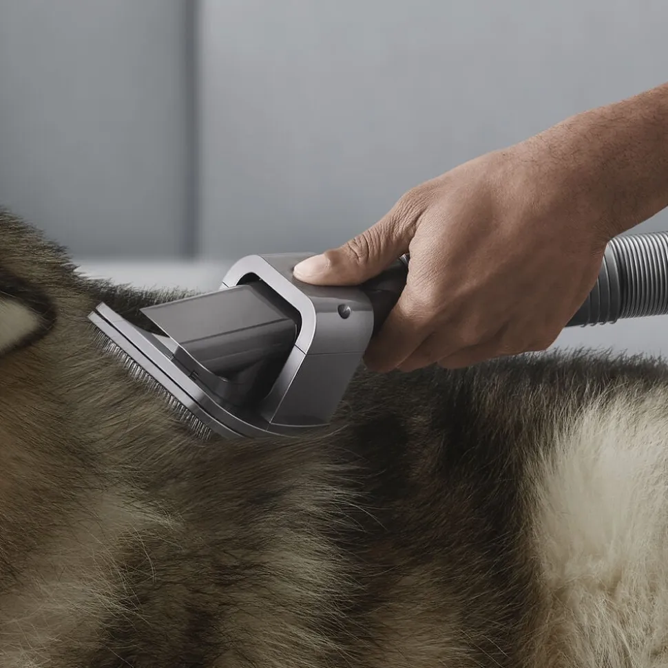 Pet Grooming Kit