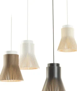 Petite 4600, Pendel
