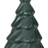 Pinus