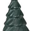 Pinus