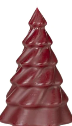 Pinus