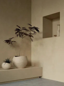 Plantas Planter, H 24, Ivory
