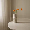 Poppy Flower
