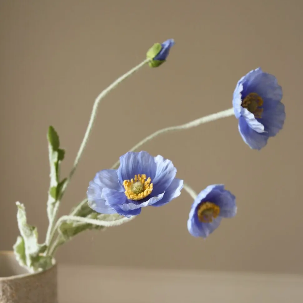 Poppy Flower
