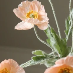 Poppy Flower