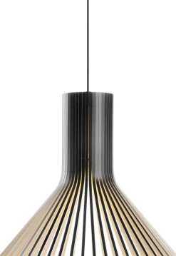 Puncto 4203, Pendel
