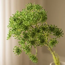 Queen Anne's Lace Flower