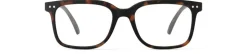 READING #L Tortoise