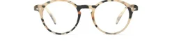 READING #D Light Tortoise
