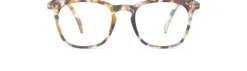 READING #E Blue Tortoise