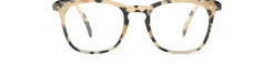 READING #E Light Tortoise