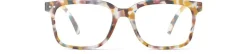 READING #L Blue Tortoise