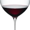Riedel Superleggero Machine Bordeaux Grand Cru 6425/00 - 1 stk