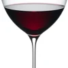 Riedel Superleggero Machine Hermitage/Syrah 6425/41 - 1 stk
