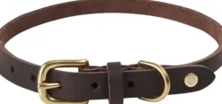 Robin Hundehalsbånd - Medium