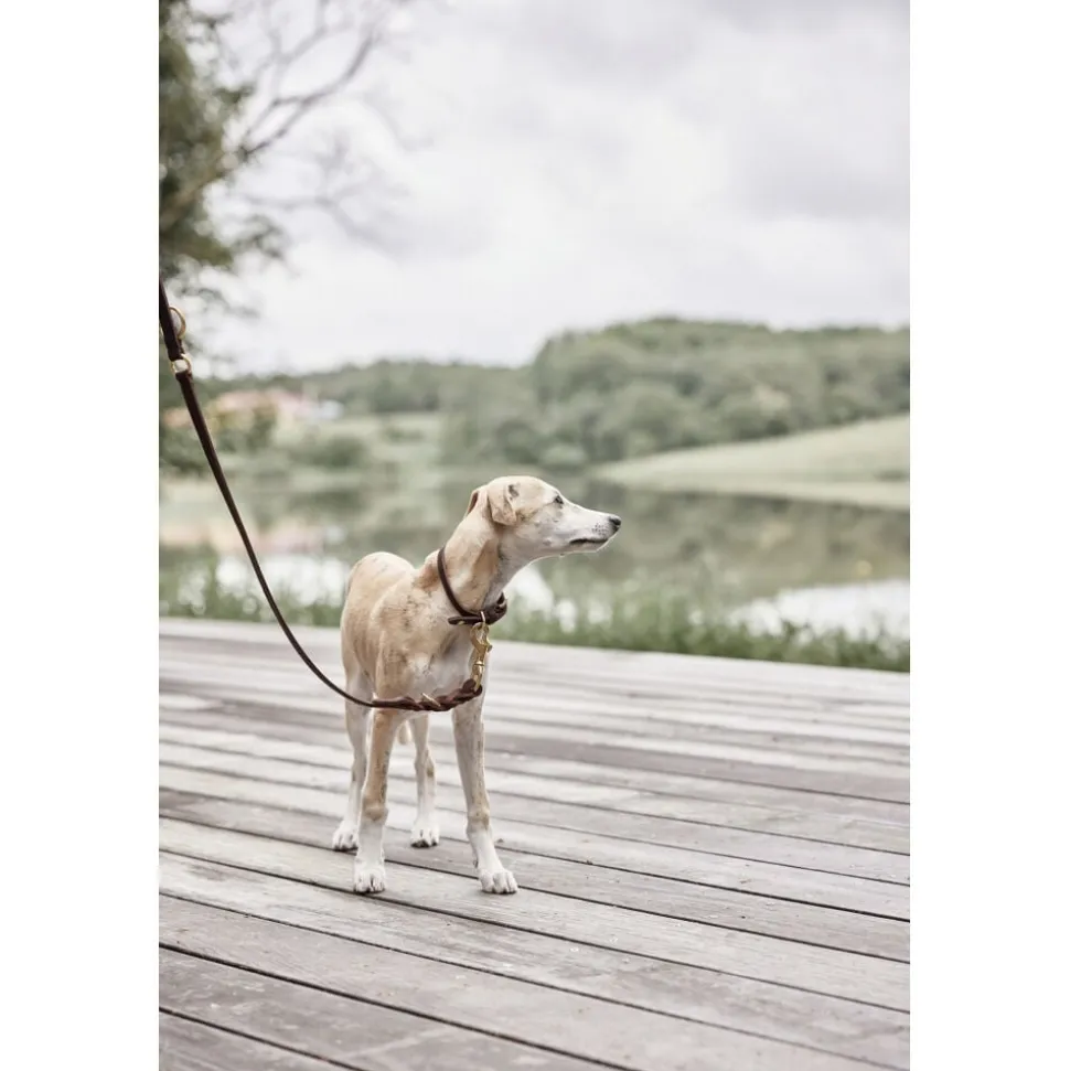 Robin Hundesnor - M/L