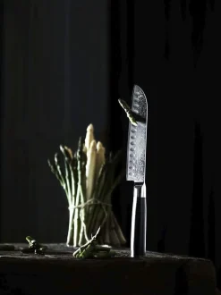Santoku kokkekniv