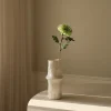 Semi-Cactus Dahlia Flower