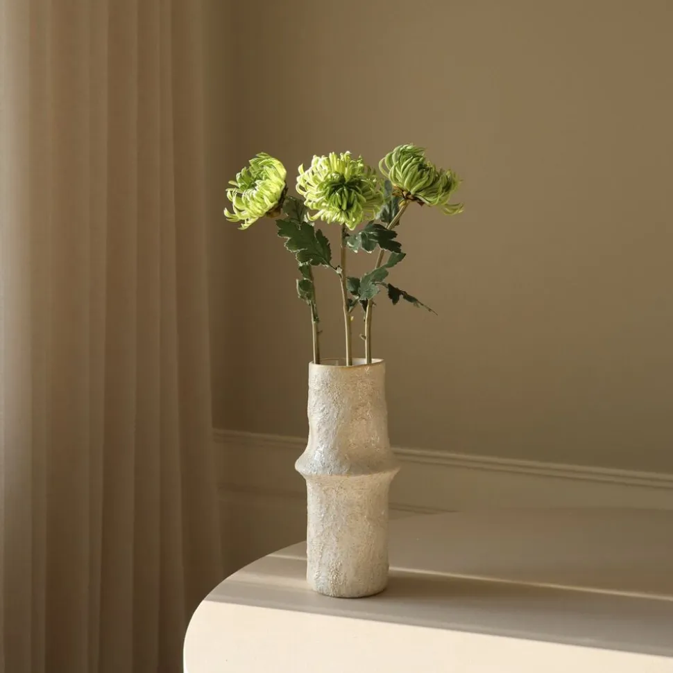 Semi-Cactus Dahlia Flower