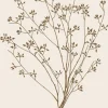 Serviet brun blomstersilhuet 16 stk pr pakke