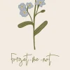 Serviet Forget-me-not 16 tk pr pakke