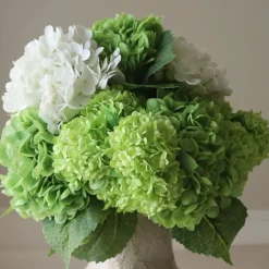 Shades of Green