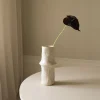 Small Anthurium Flower