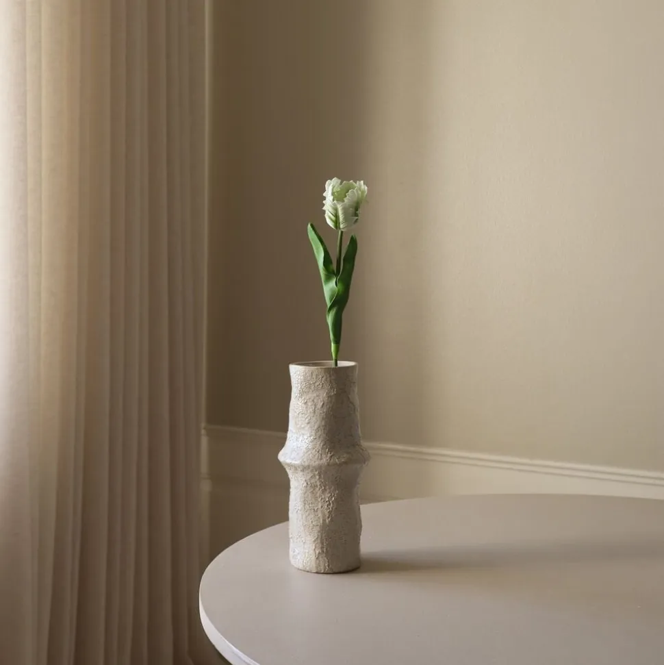 Small Parrot Tulip Flower