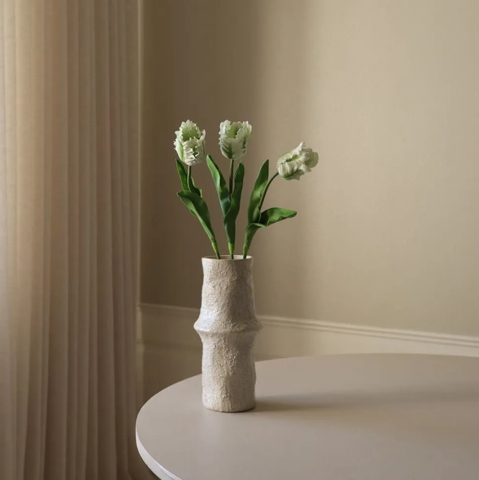Small Parrot Tulip Flower