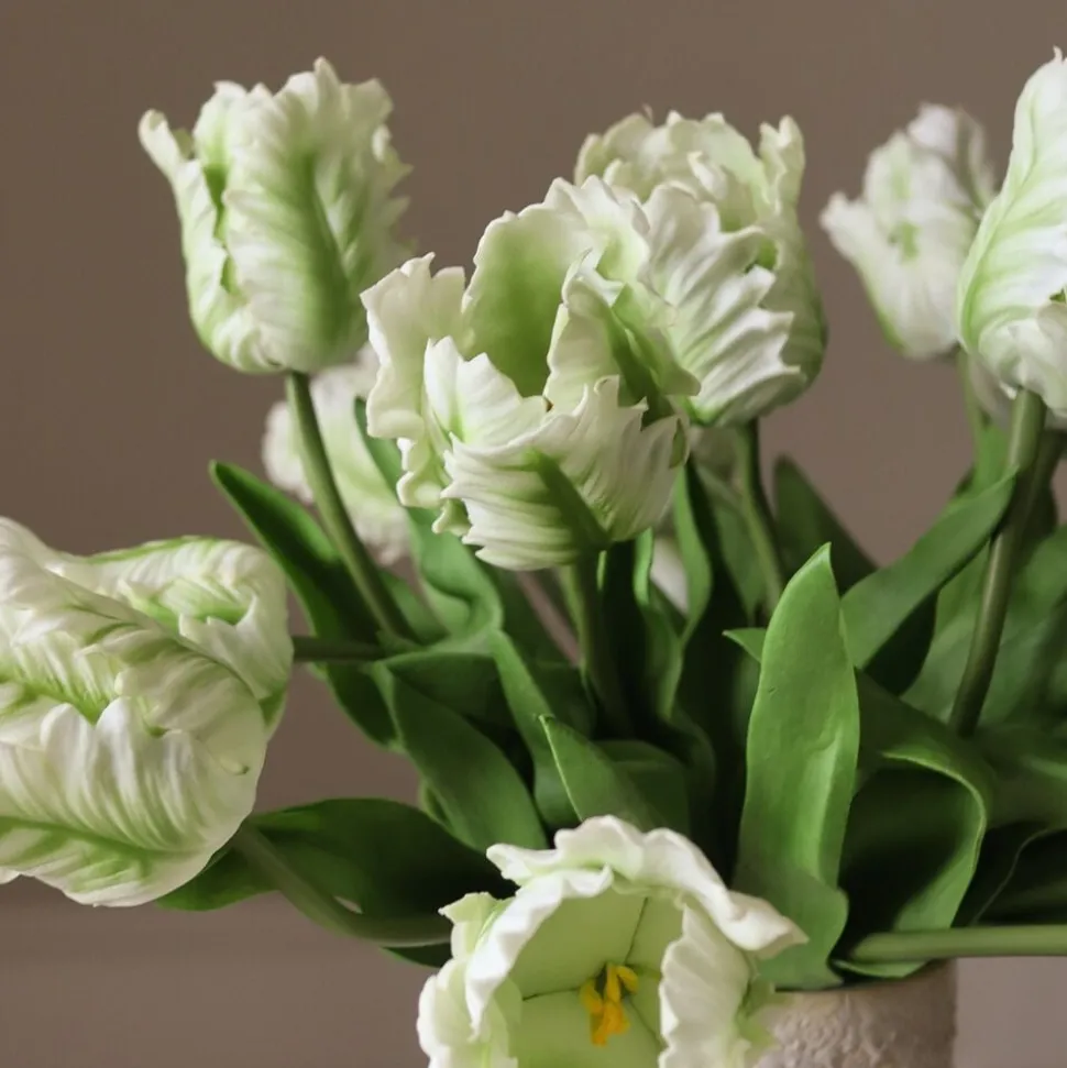 Small Parrot Tulip Flower