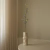 Snow Willow Branch