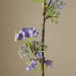 Snow Willow Branch