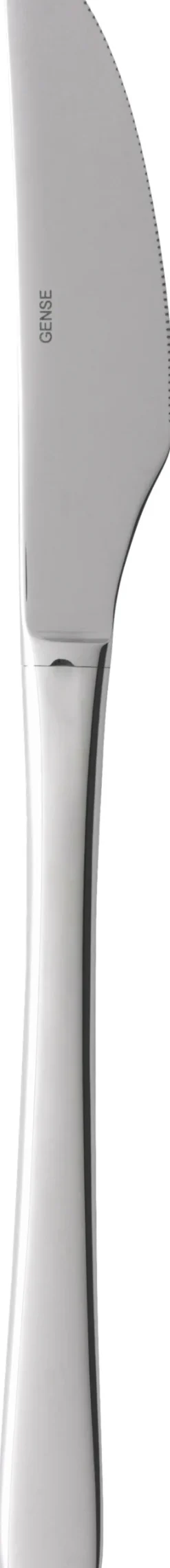 Steel Line bordkniv blank stål L21,5cm