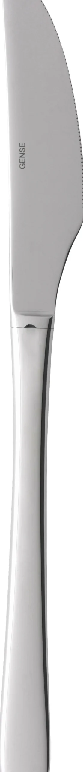 Steel Line bordkniv blank stål L21,5cm