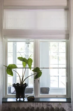 Sunday Roman Blind